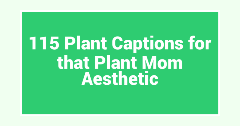 115 Plant Captions for that Plant Mom Aesthetic