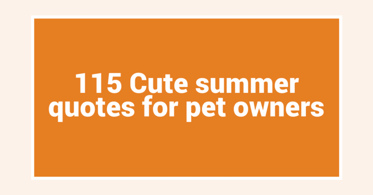 115 Cute summer quotes for pet owners