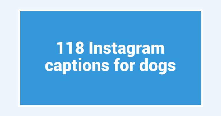 118 Instagram captions for dogs