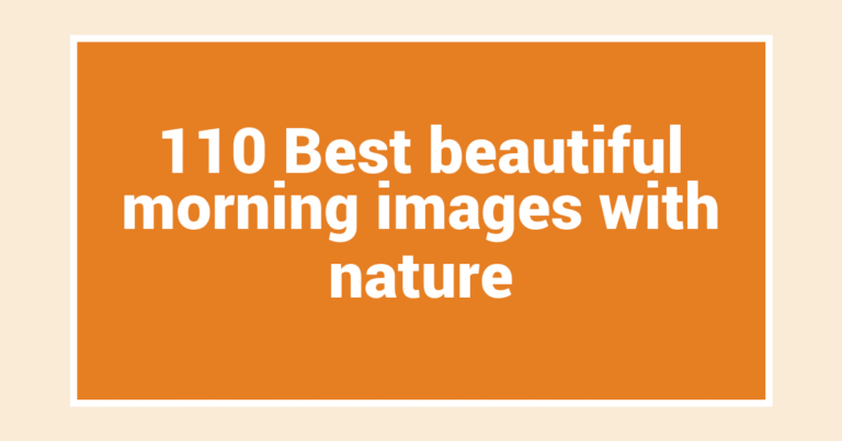 110 Best beautiful morning images with nature